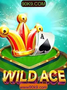 WildAce: Descubra a Emoção do Jogo com 90K9.COM